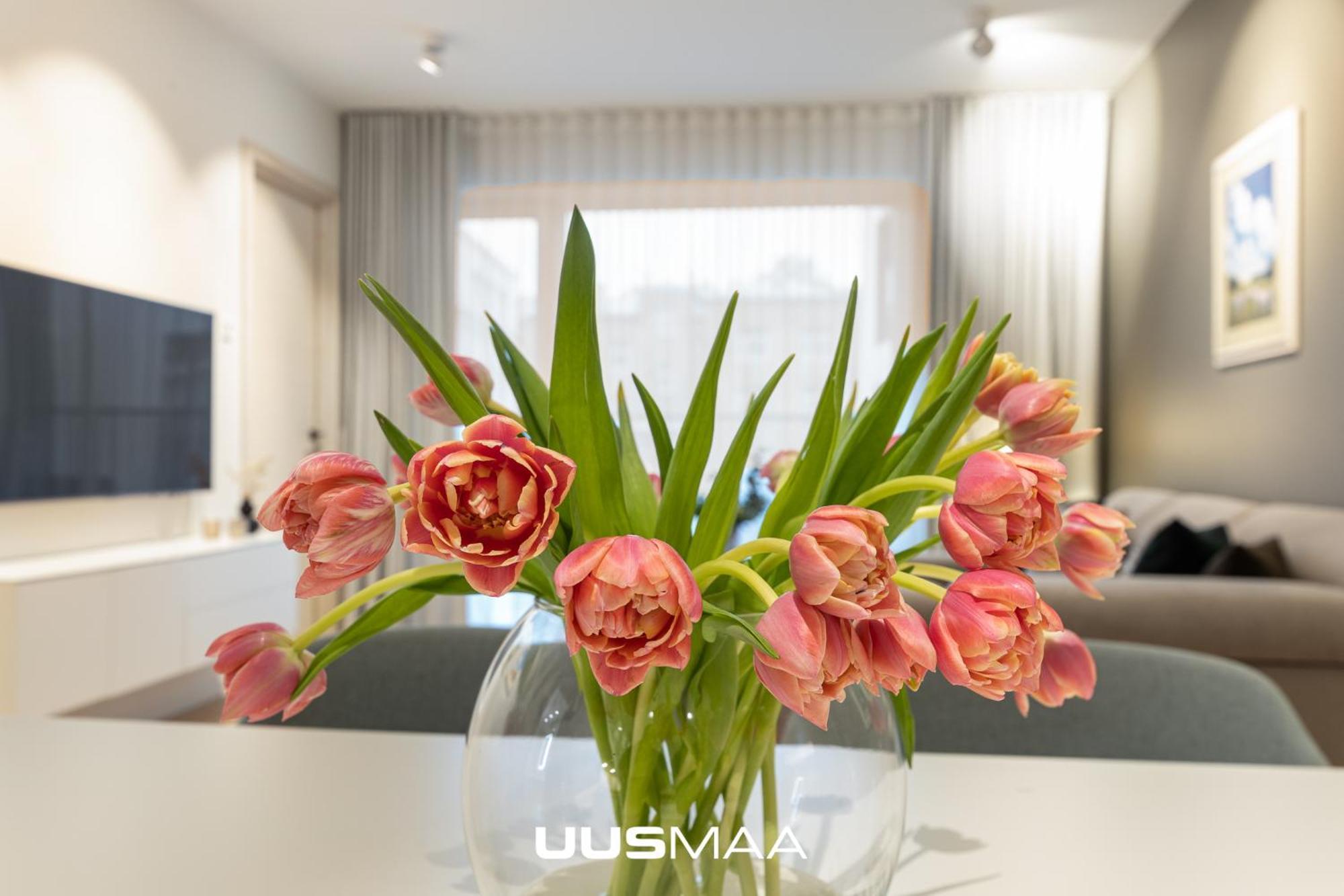 Appartement Das Haus Apartment#luxury Residential#balcony#free Parking *